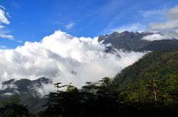 Rundreisen nach Borneo  auf Expedition zu Artenvielfalt und Farbenpracht vom Rundreise Spezialisten