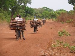 Rundreisen nach Burkina Faso  das Land der ehrenwerten Menschen kennen lernen vom Rundreise Spezialisten