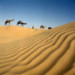 Rundreisen durch Algerien  auf den Spuren mehrerer Jahrtausende vom Rundreise Spezialisten