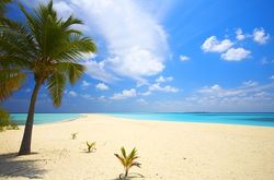 Bahamas Rundreisen