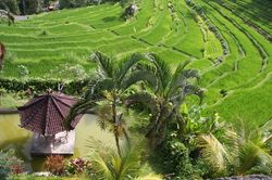 Rundreisen nach Bali – Begegnung mit der Insel der Götter vom Rundreise Spezialisten