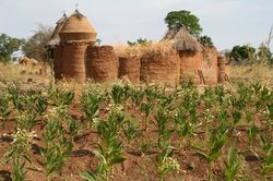 Benin  zwischen traumhaften Strnden und Voodoo-Kult vom Rundreise Spezialisten