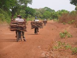 Rundreisen nach Burkina Faso – das Land der ehrenwerten Menschen kennen lernen vom Rundreise Spezialisten