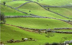 Irland Rundreise – Grün so weit das Auge reicht vom Rundreise Spezialisten