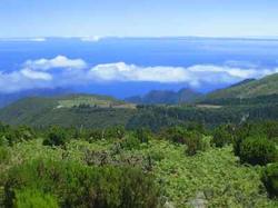 Rundreisen anch Madeira – mehr als die Blumeninsel erkunden vom Rundreise Spezialisten
