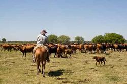 Rundreisen nach Paraguay – auf in ein liebenswürdiges und authentisches Land vom Rundreise Spezialisten