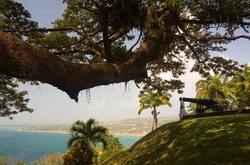 Trinidad und Tobago - ein unvergleichlich karibisches Erlebnis vom Rundreise Spezialisten